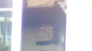 Bor med en tråkig man nya sexfilmer