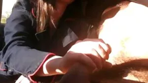 Morgonvy sex film trekant