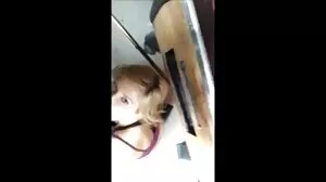 Piloten och massören, med Tiffany lesbiska sexfilmer Tatum