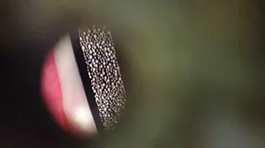 Maya piskar det gott danska sexfilmer