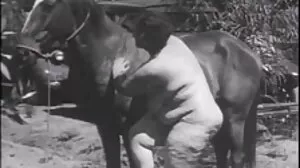 Samla sexfilmer hennes tillgångar